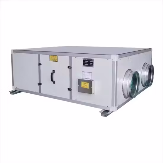 Commercial ODM OEM Ceiling Mounted Energy Recovery Ventilator Air Handling Unit