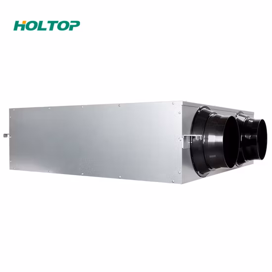 600CMH Hrv/Erv Light Commercial Heat/Energy Recovery Ventilation System Units, Recuperation