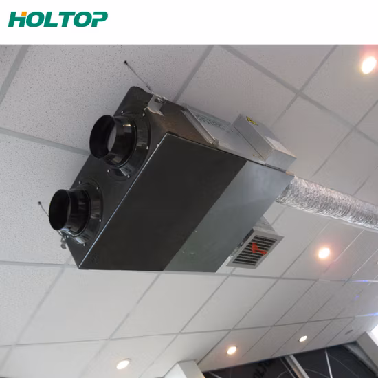 Holtop Commercial Air Conditioning Erv Energy Recovery Ventilation System Recuperator 2500CMH Air Handling Unit Commercial Ventilation